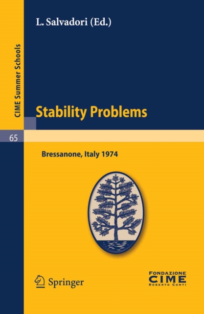 Stability Problems