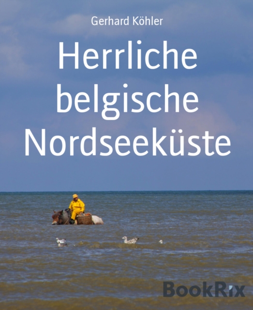 Herrliche belgische Nordseekuste