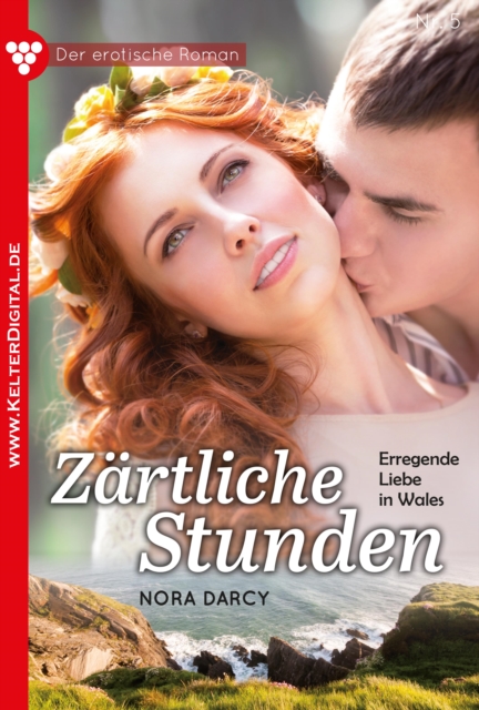 Der erotische Roman 5 - Erotikroman