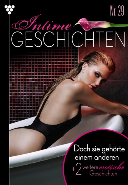 Intime Geschichten 29 – Erotikroman