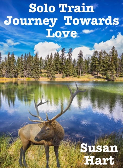 Solo Train Journey Towards Love