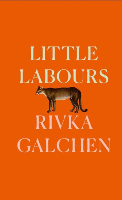 Little Labours