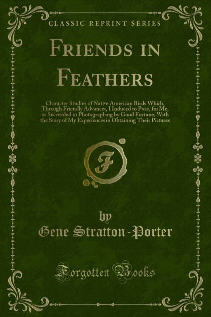 Friends in Feathers