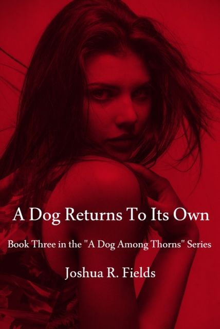 Dog Returns To Its Own