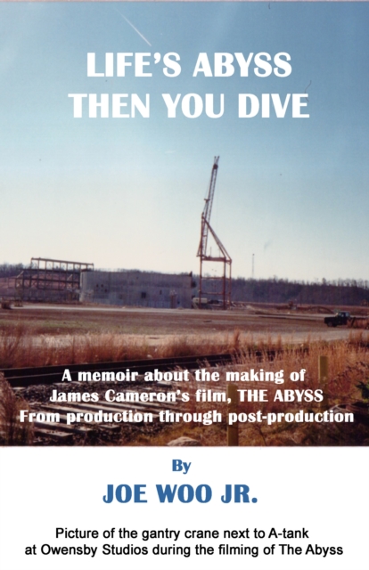 Life's Abyss Then You Dive