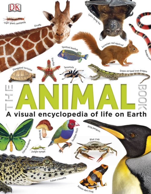 Animal Book