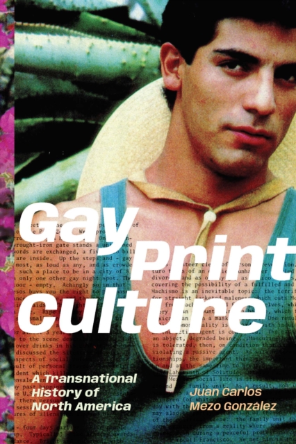 Gay Print Culture