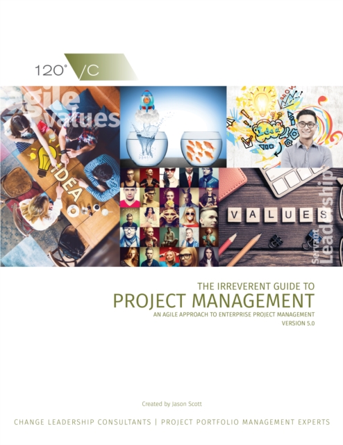 Irreverent Guide to Project Management