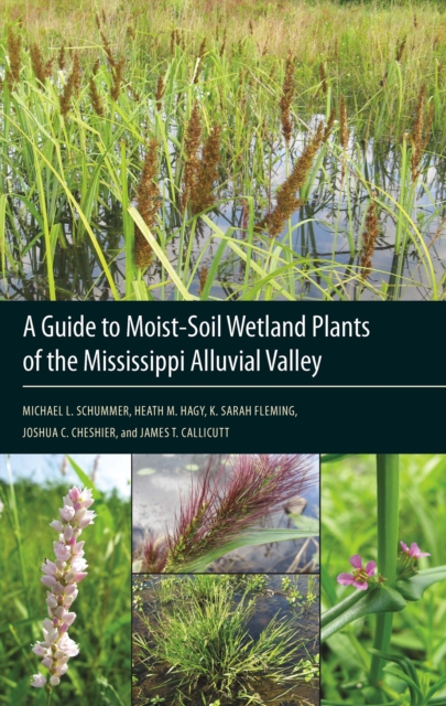 Guide to Moist-Soil Wetland Plants of the Mississippi Alluvial Valley