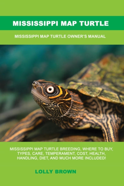 Mississippi Map Turtle