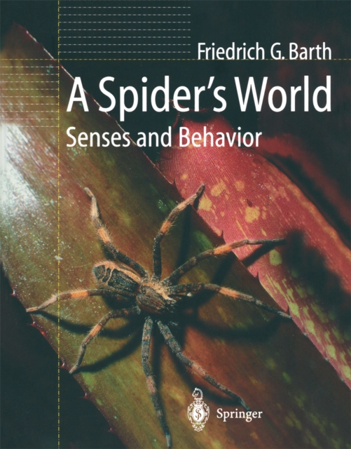 Spider's World