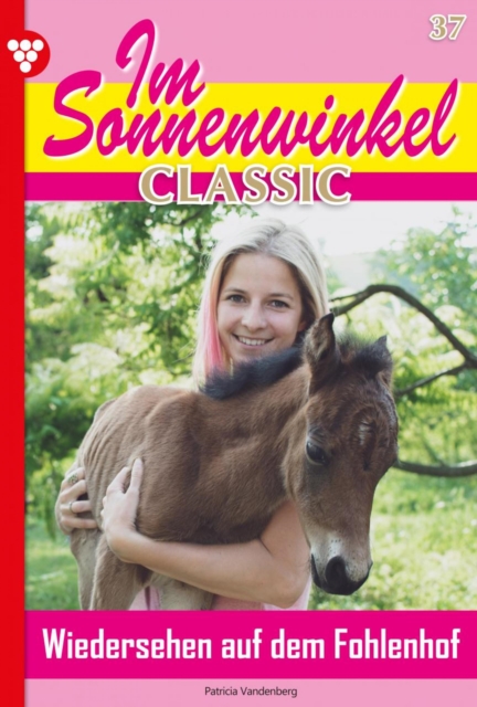 Im Sonnenwinkel Classic 37 – Familienroman
