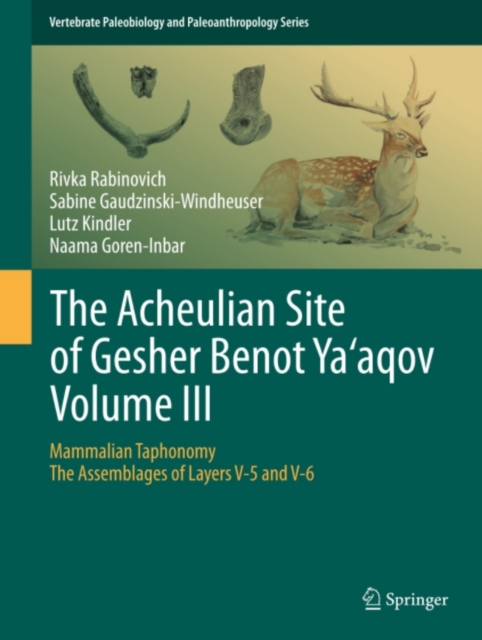 Acheulian Site of Gesher Benot Ya'aqov Volume III