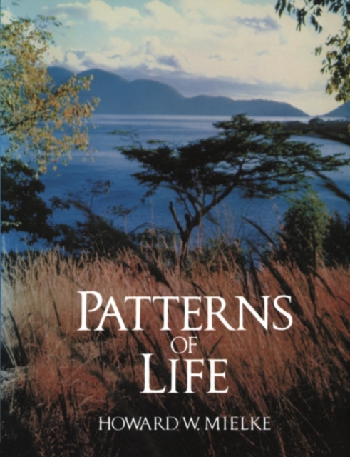 Patterns of Life