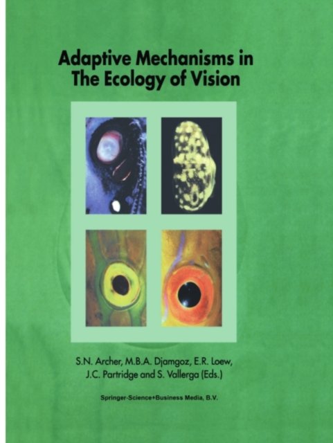 Adaptive Mechanisms in the Ecology of Vision