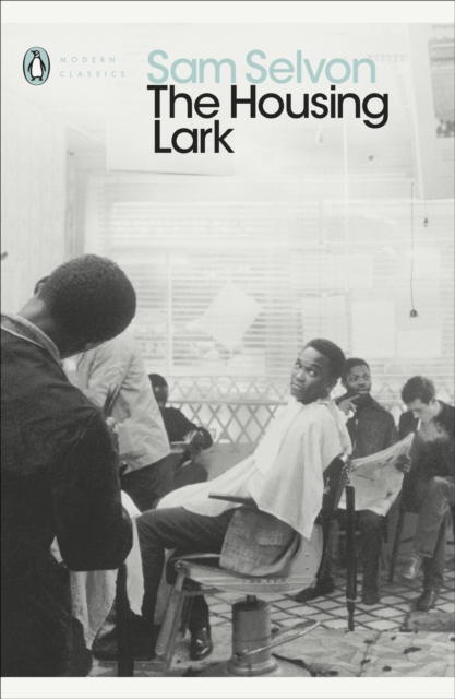 Housing Lark