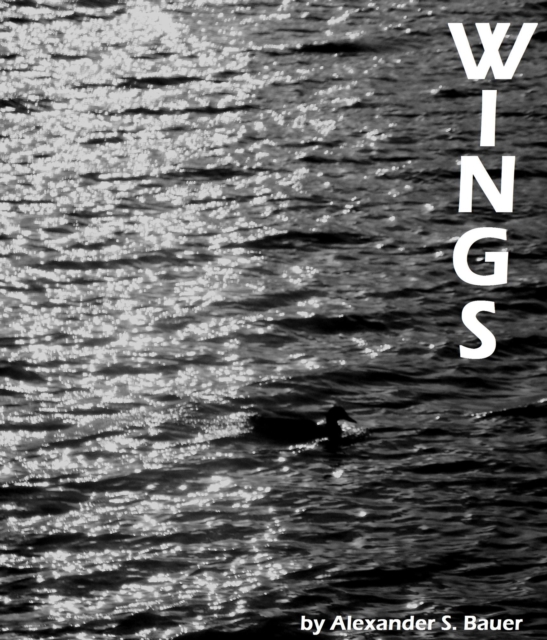 Wings