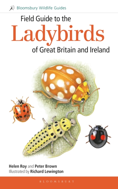 Bats of Britain and Europe