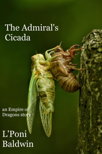 Admiral's Cicada