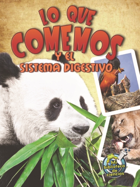 Lo que comemos y el sistema digestivo