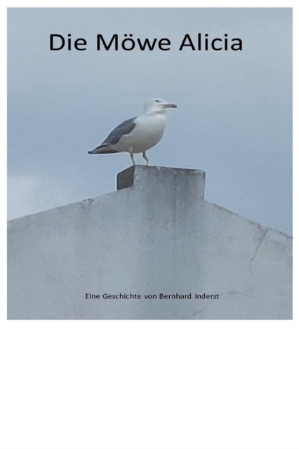Die Möwe Alicia
