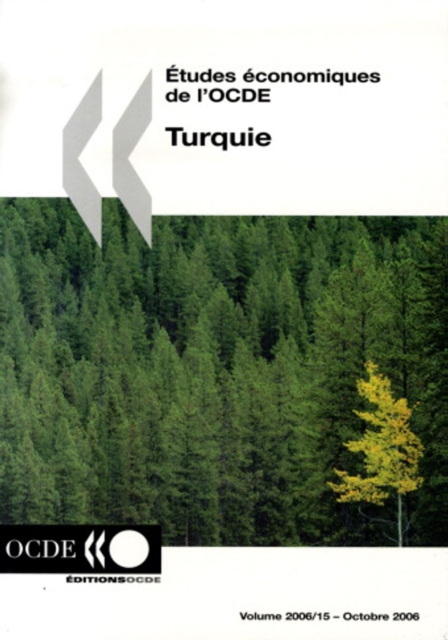 Etudes economiques de l'OCDE : Turquie 2006