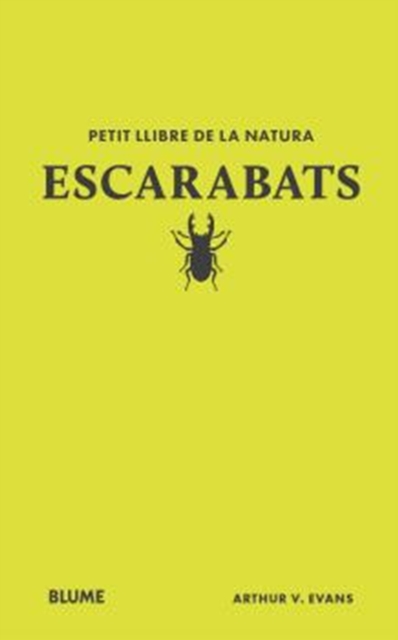 Escarabats