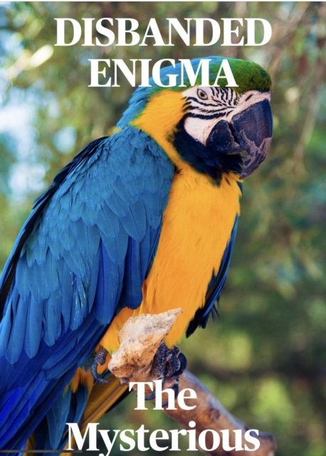 Disbanded Enigma