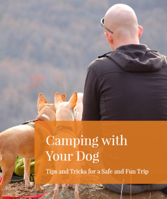 Camping with Your Dog: Tips and Tricks for a Safe and Fun Trip