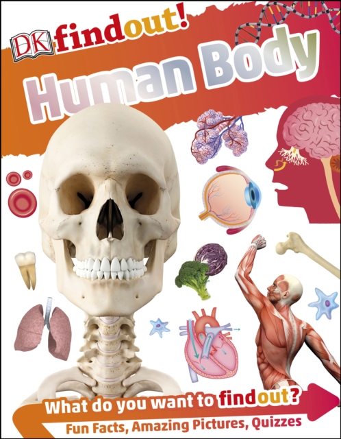 DKfindout! Human Body