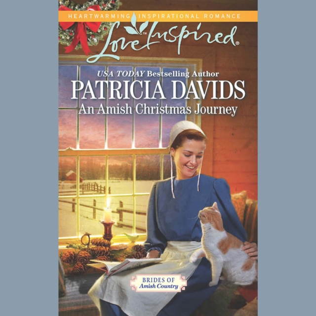 Amish Christmas Journey