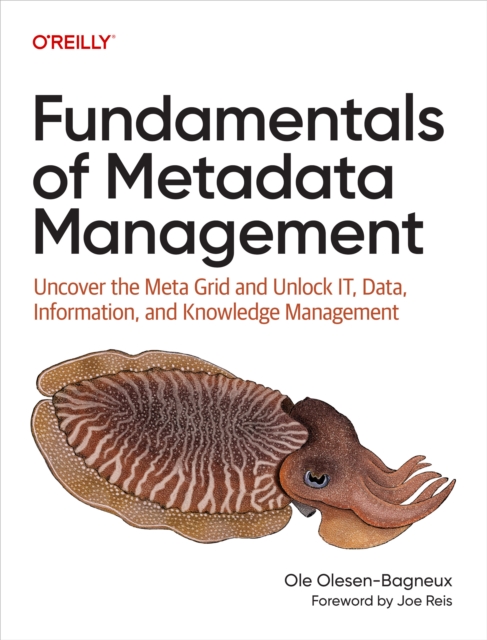 Fundamentals of Metadata Management