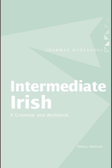 Intermediate Irish: A Grammar and Workbook