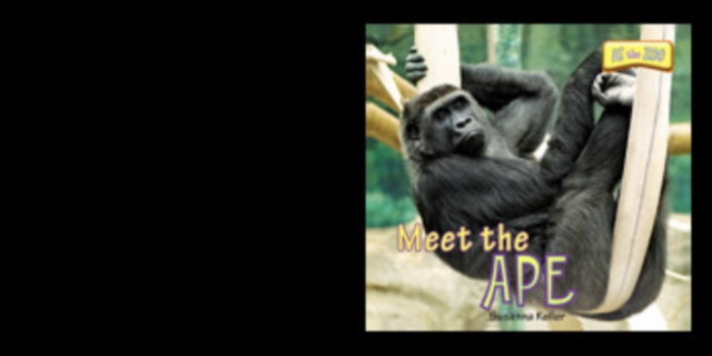 Meet the Ape