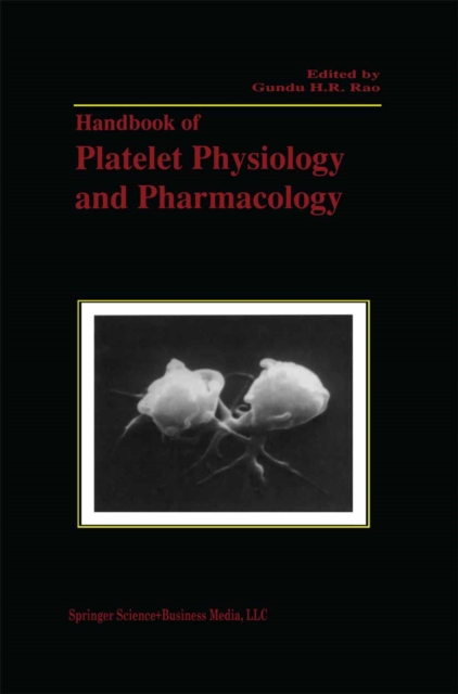 Scheduling in Parallel Computing Systems