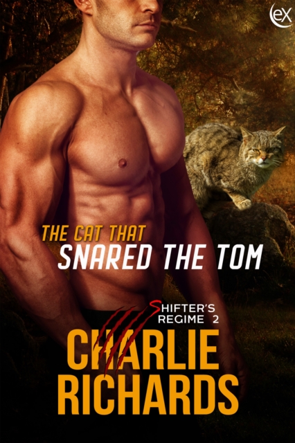 Cat that Snared the Tom