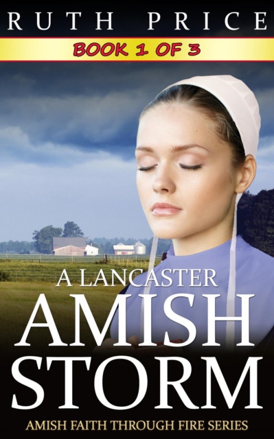 Lancaster Amish Storm - Book 1
