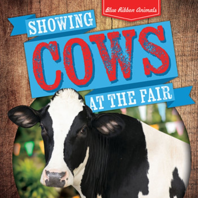 Showing Cows at the Fair