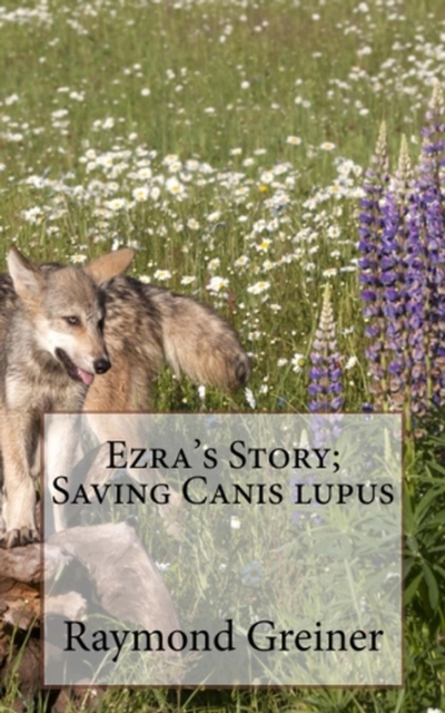 Ezra's Story; saving canis lupus