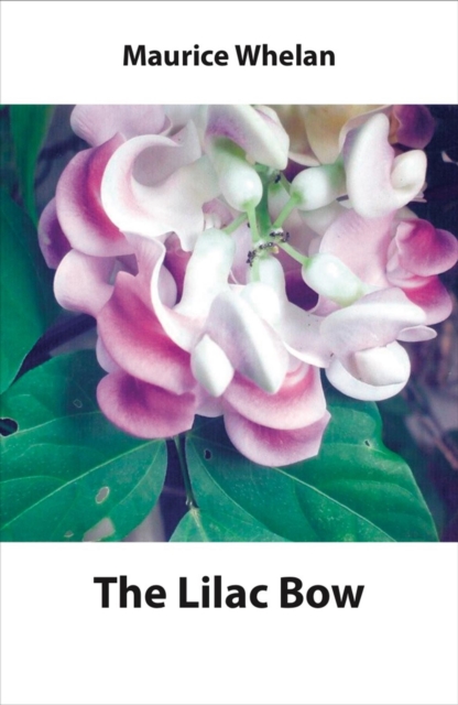 Lilac Bow