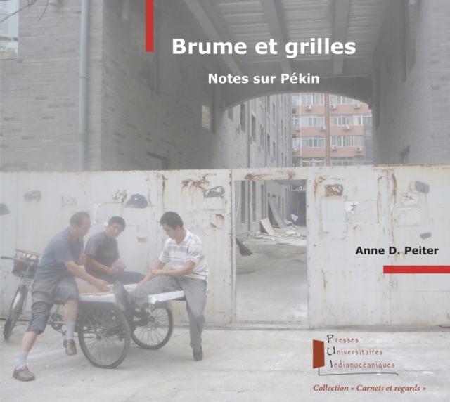 Brume et grilles