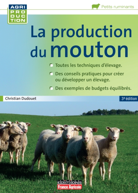 La production du mouton