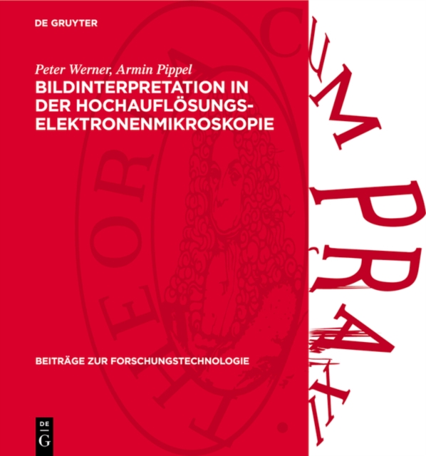 Bildinterpretation in der Hochauflösungs-Elektronenmikroskopie