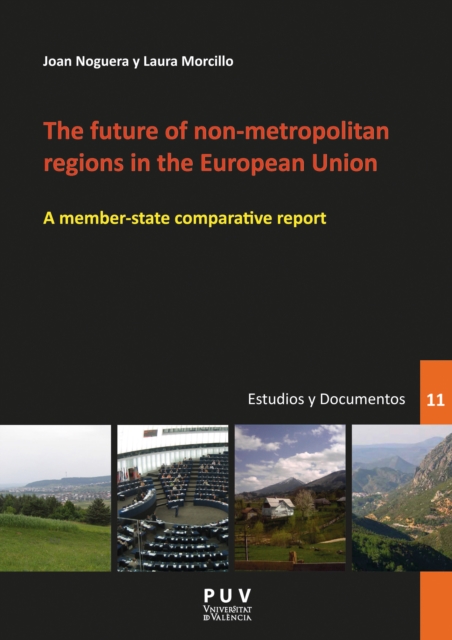future of non-metropolitan regions in the European Union