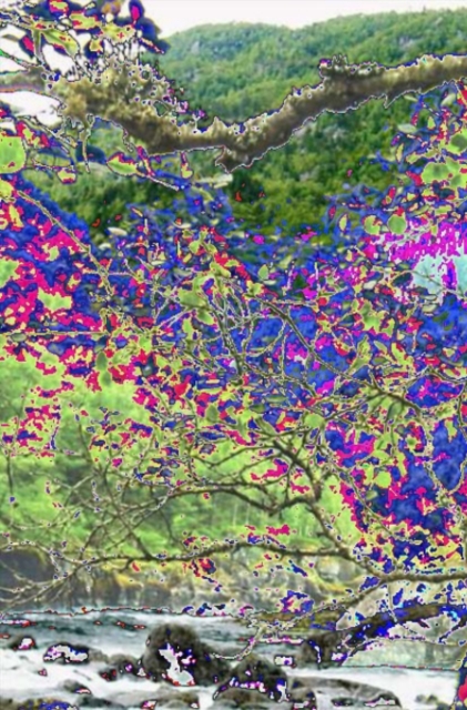 Integrated Watershed Management