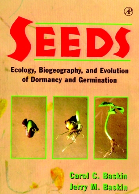 Seeds