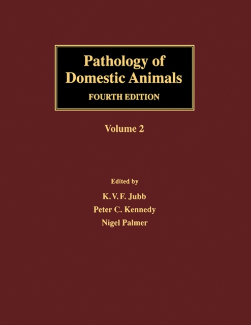 Dynamical Systems and Microphysics