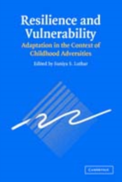 Resilience and Vulnerability