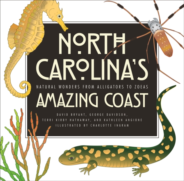 North Carolina's Amazing Coast