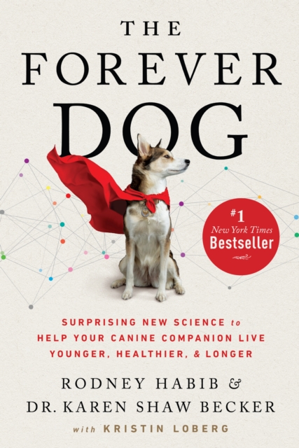 Forever Dog